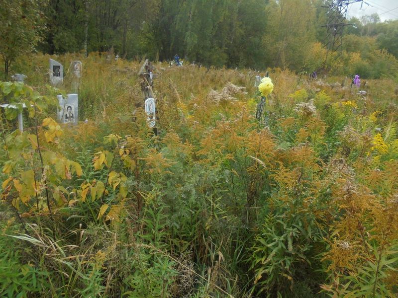 Чурбанова Наталья Алексеевна