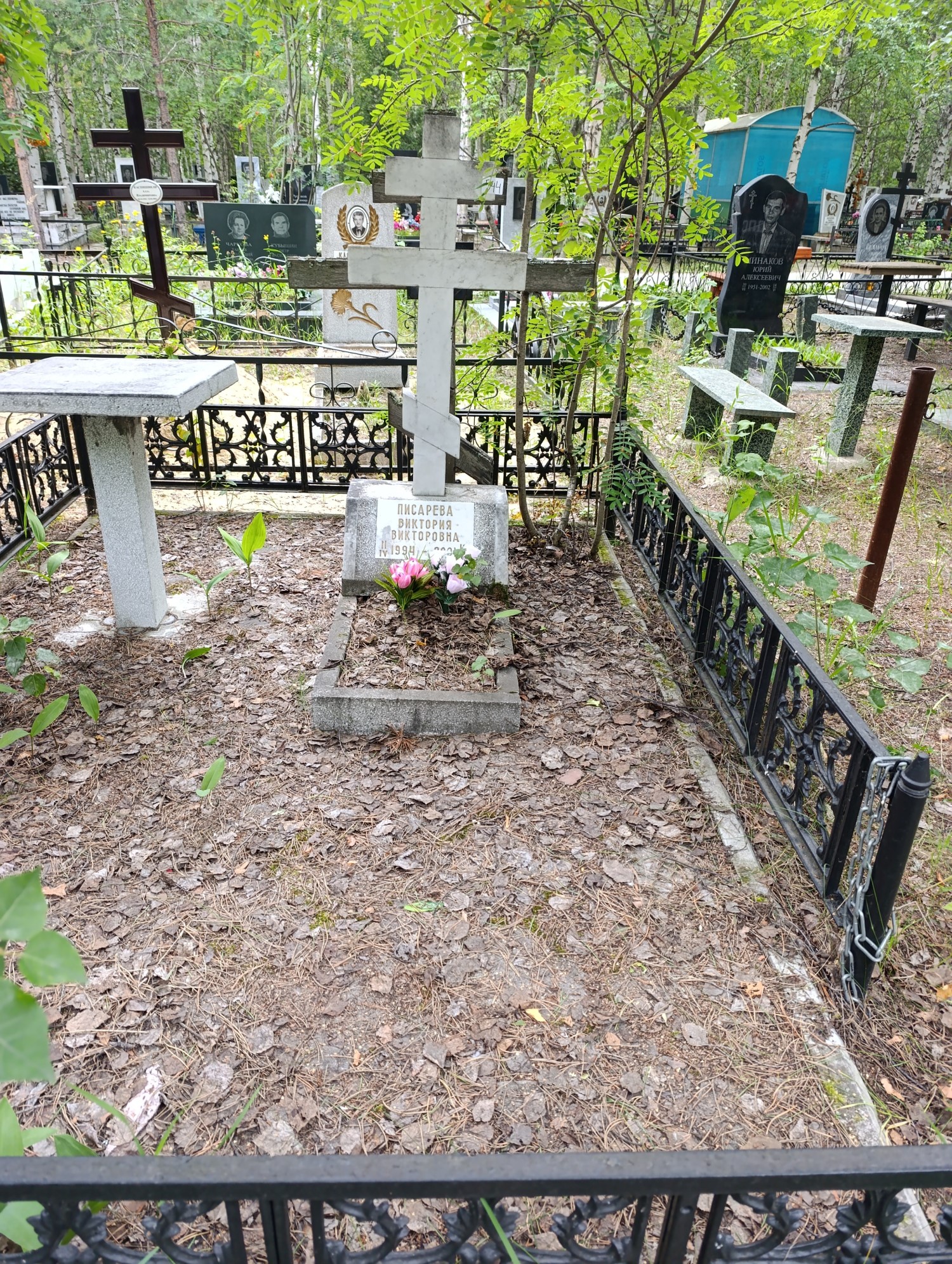 Писарева Виктория Викторовна