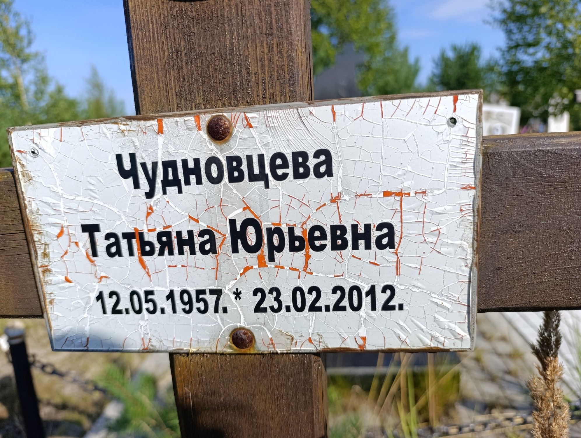 Чудновцева Татьяна Юрьевна