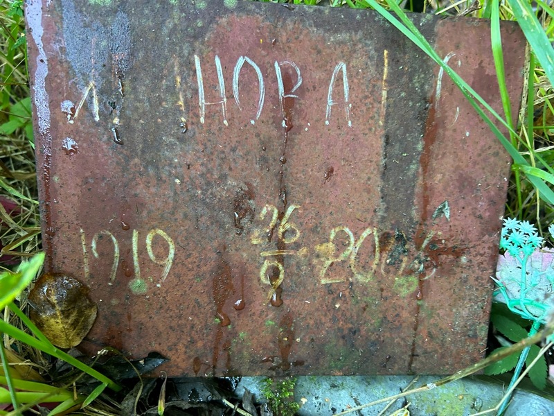 Н. Иванова С.