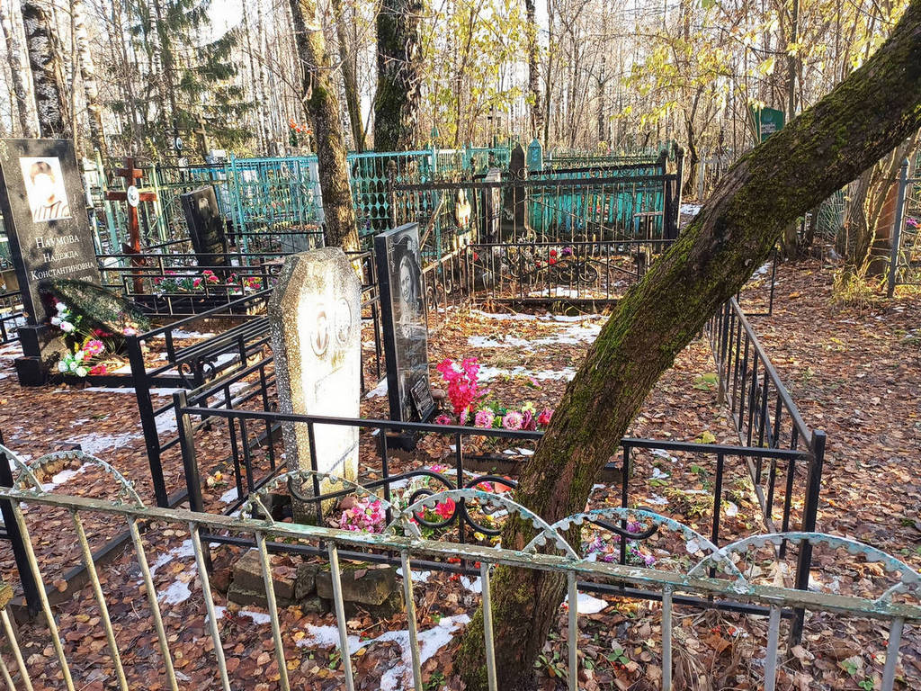 Токарева Любовь Васильевна