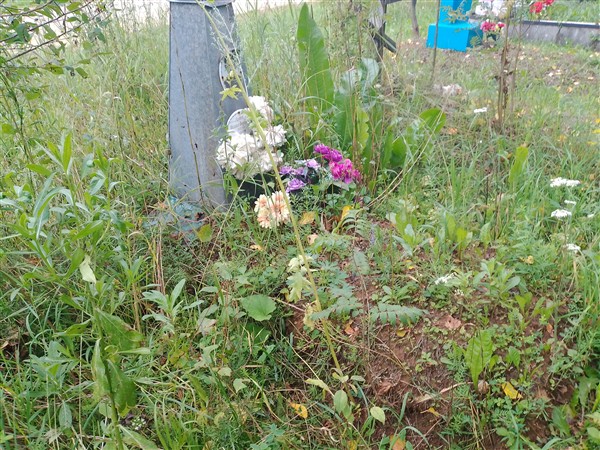 Лаптев Михаил Федорович
