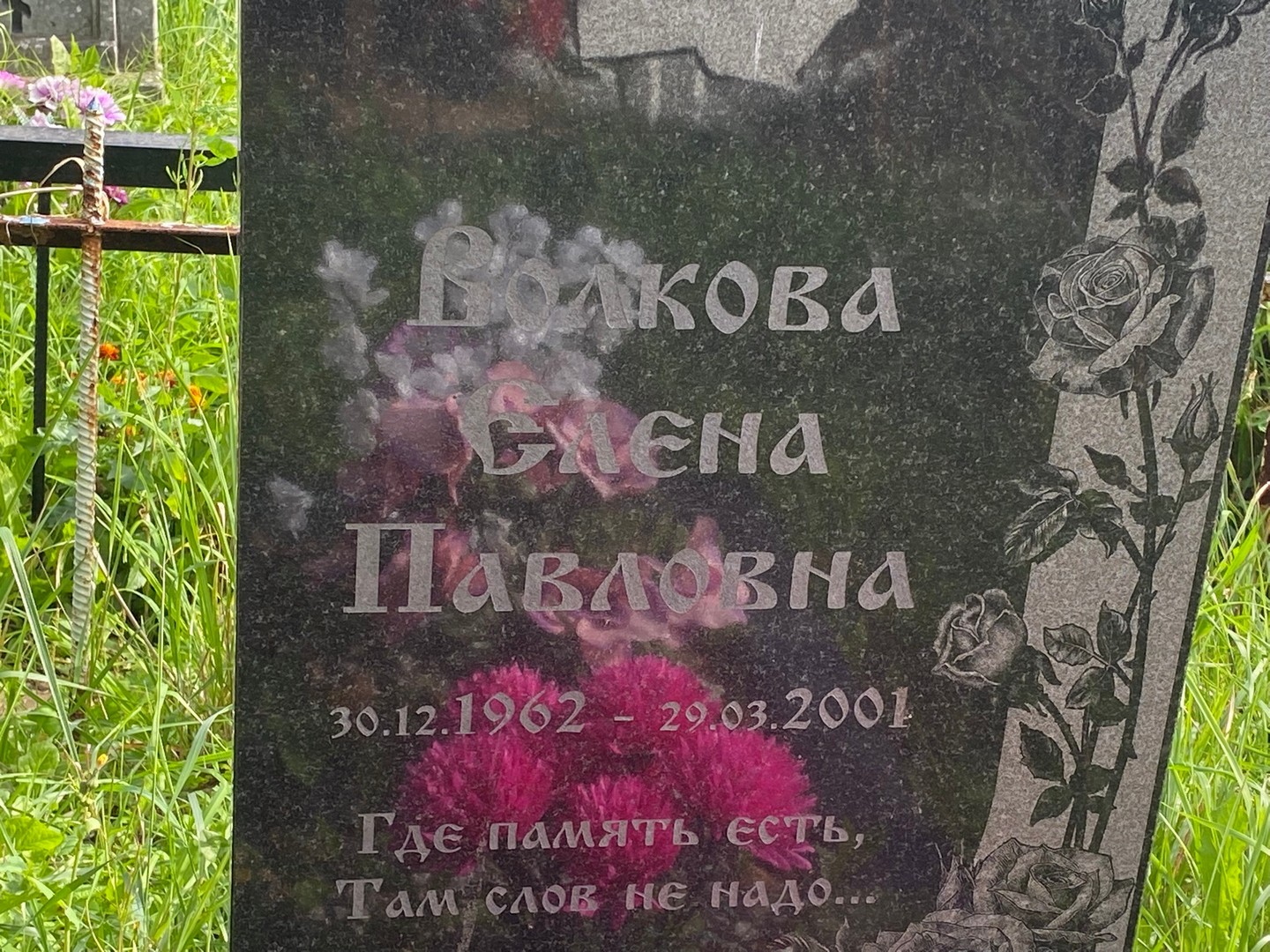 Волкова