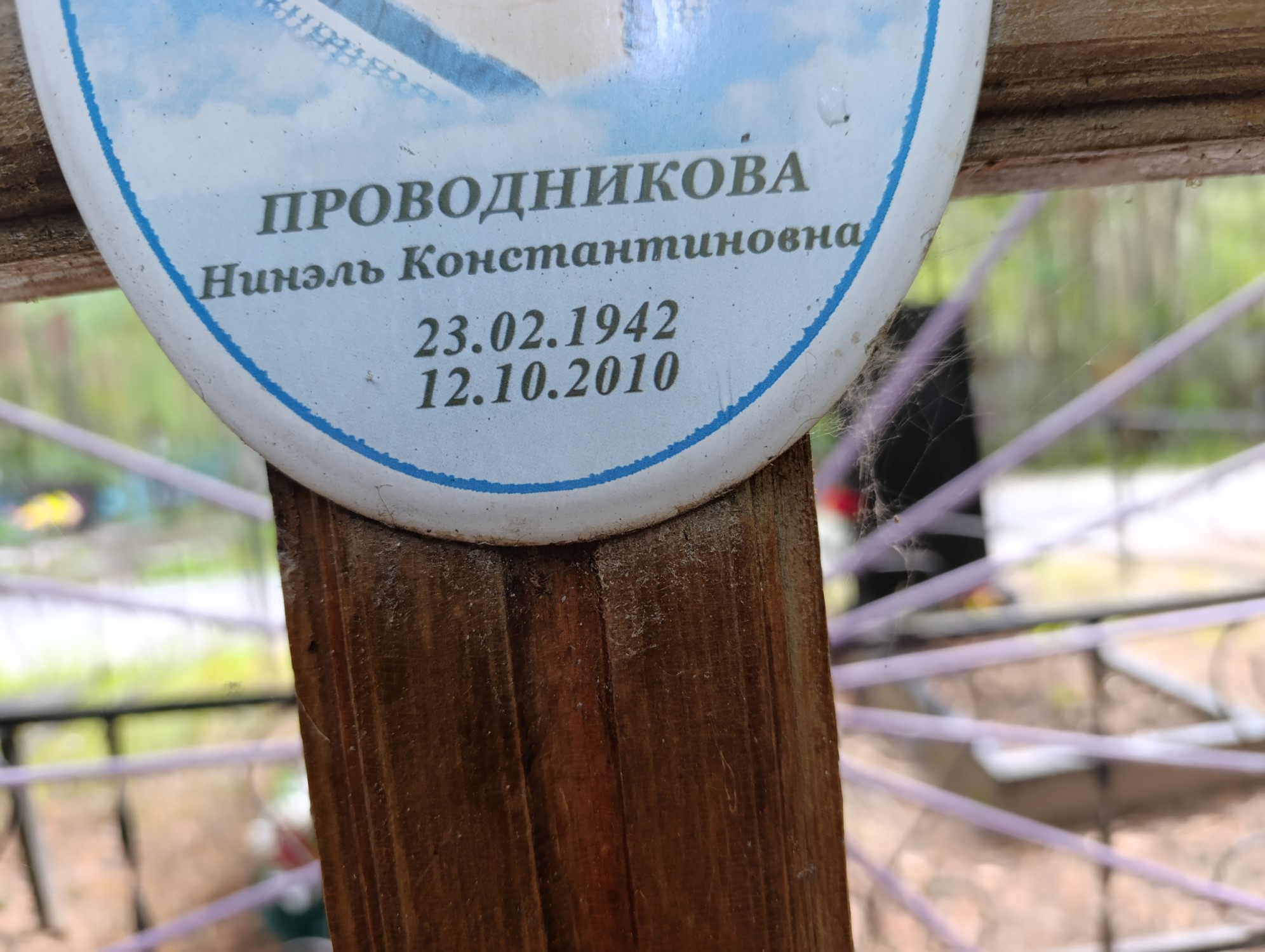 Проводникова Нинэль Константиновна