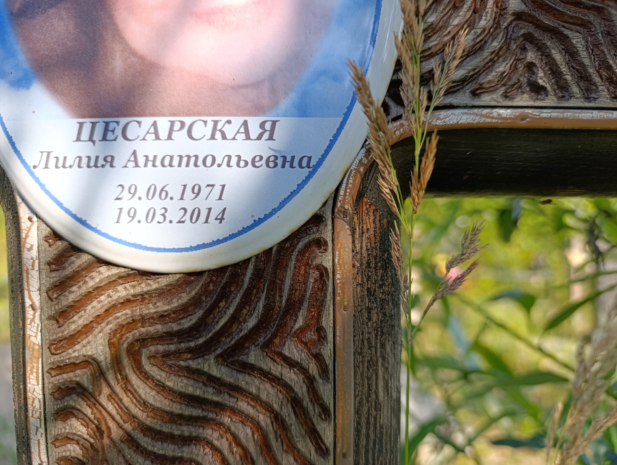 Цесарская Лилия Анатольевна