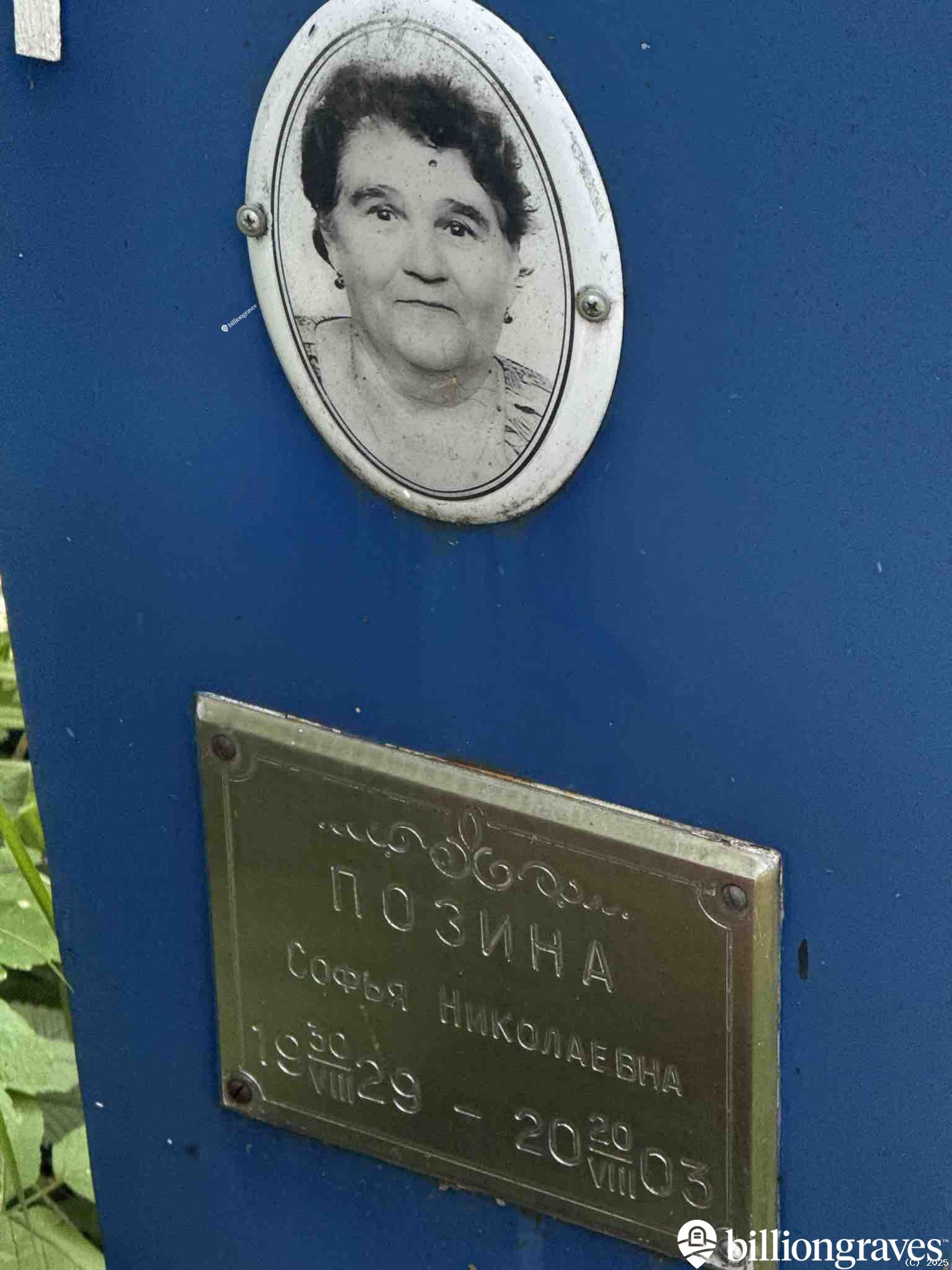 Позина Софья Николаевна