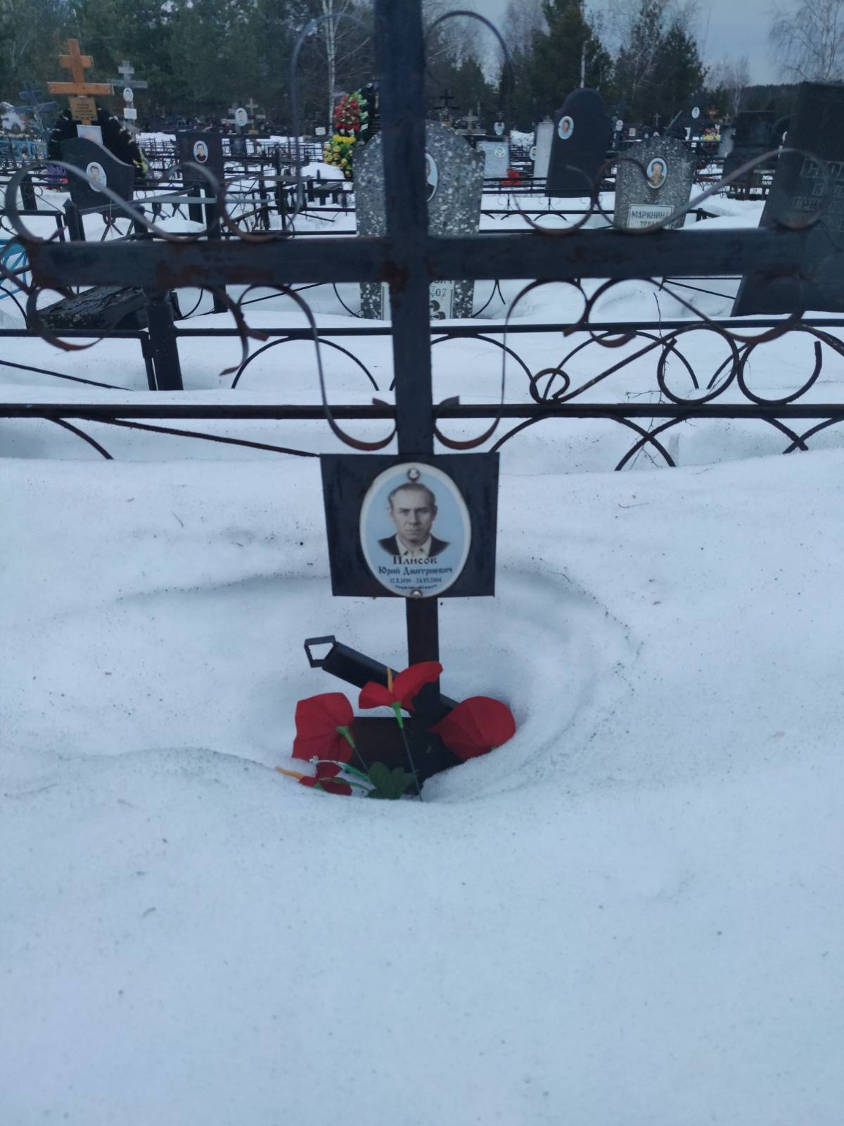 Плисов Юрий дмитриевич