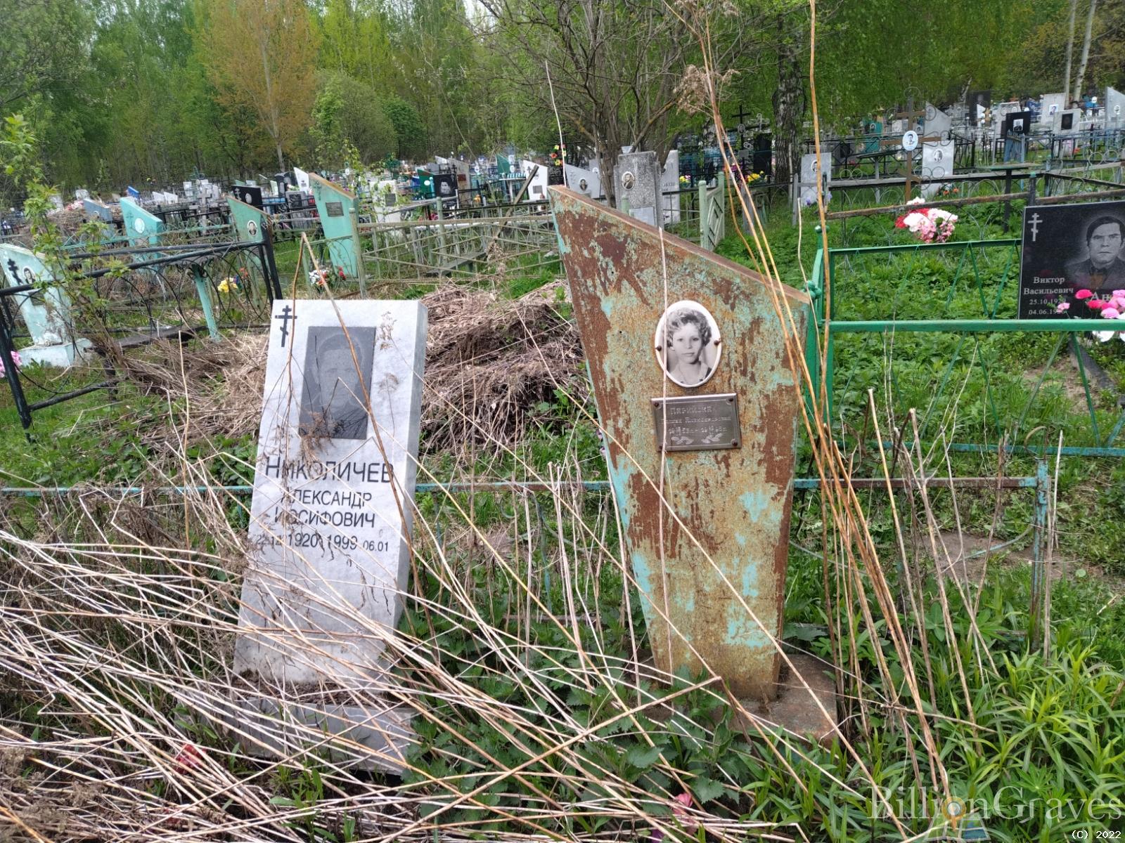 Николичев Александр Иосифович