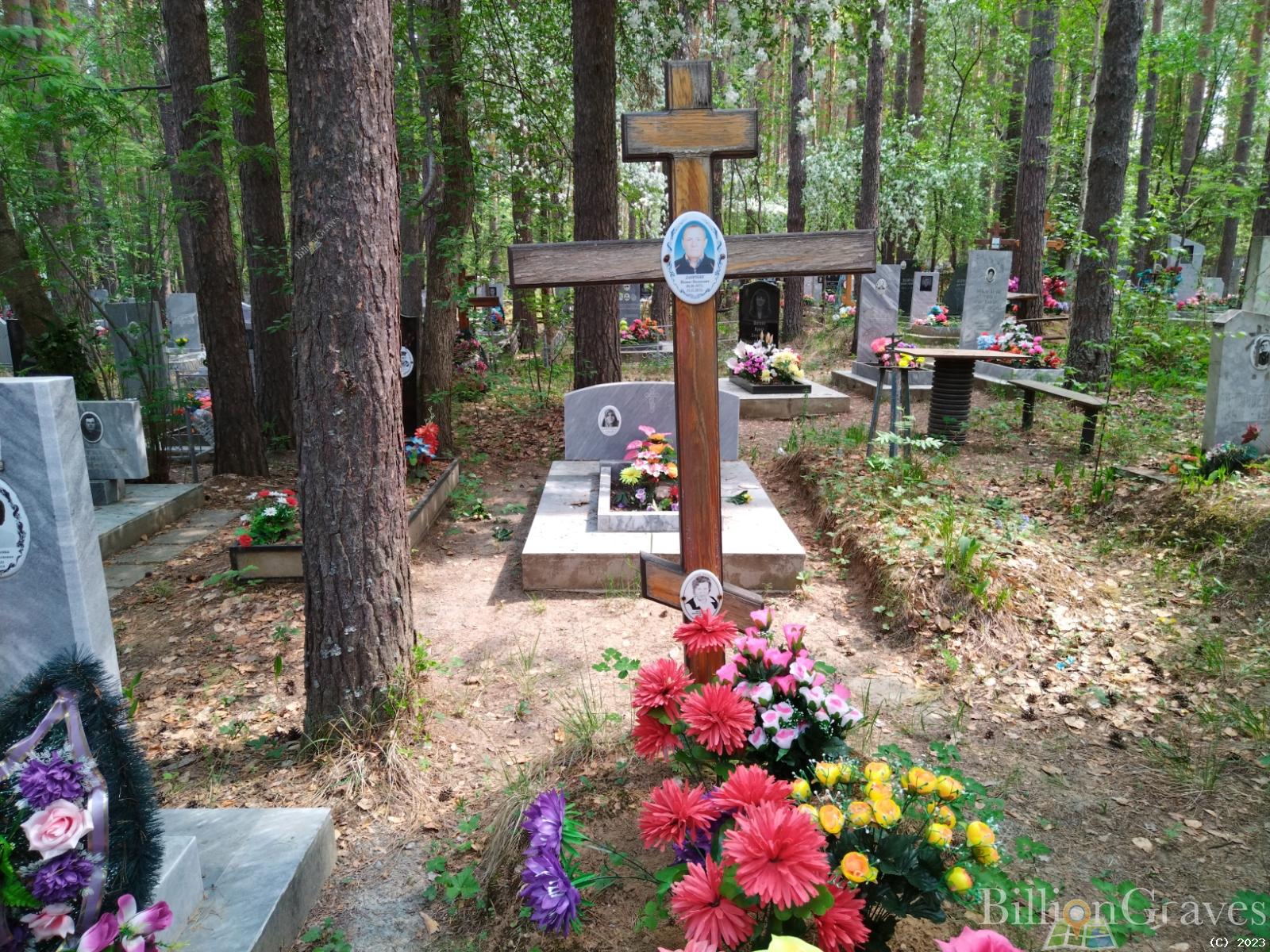Даничкина Аделия Васильевна