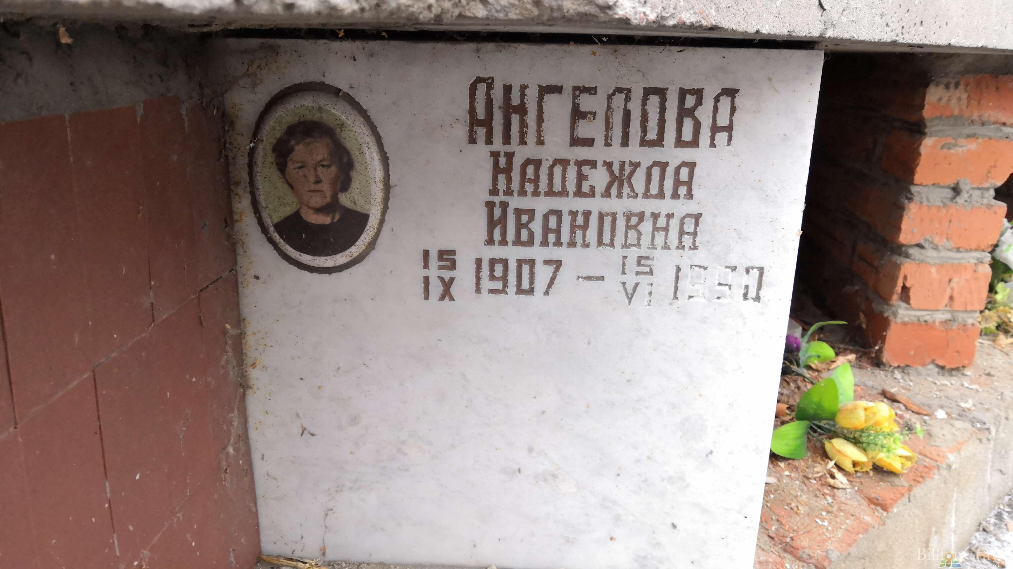 Ангелова Надежда Ивановна