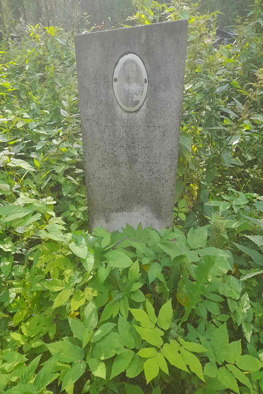 Алексеев Николай Захарович