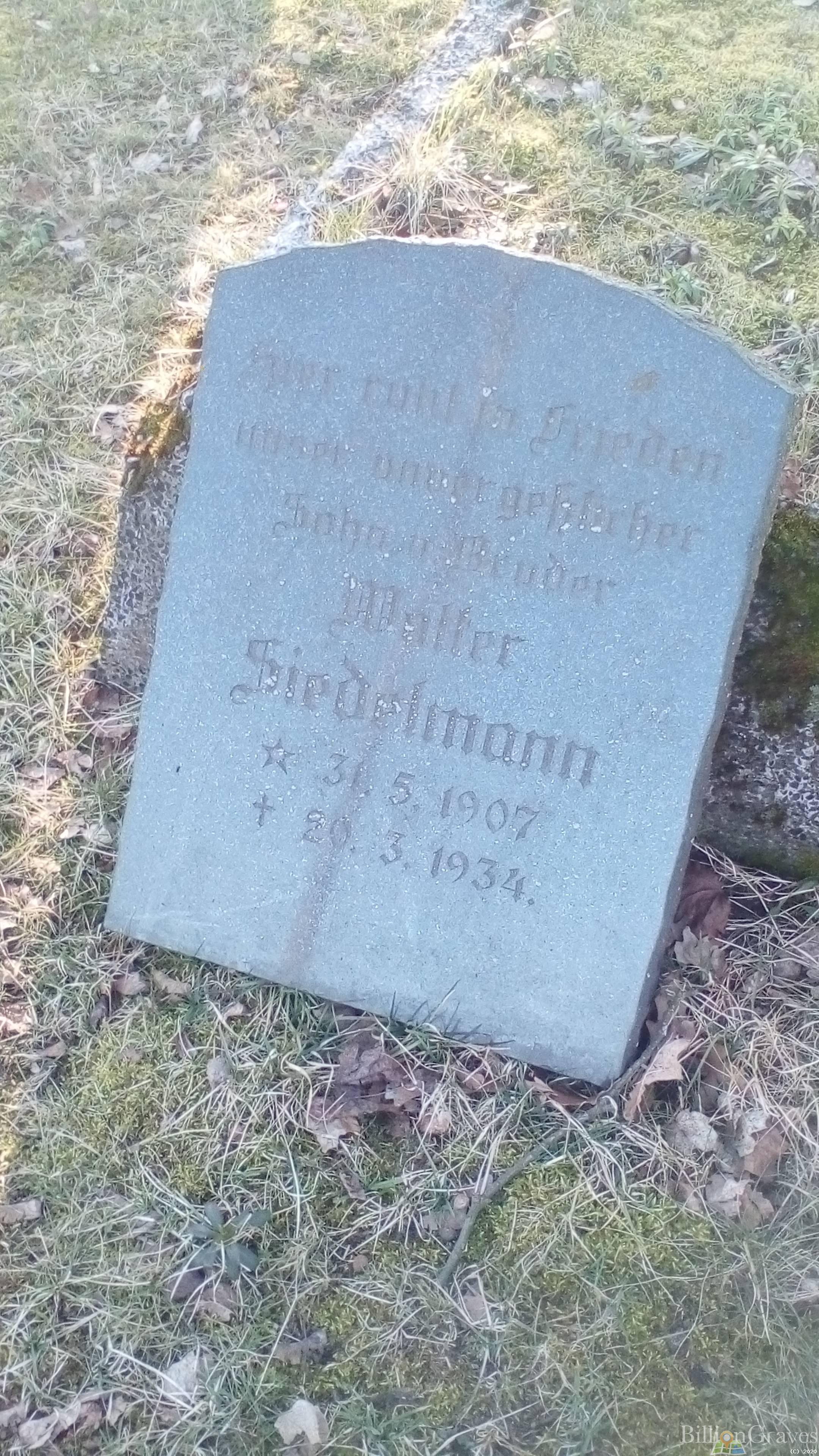 Siedelmann Malter
