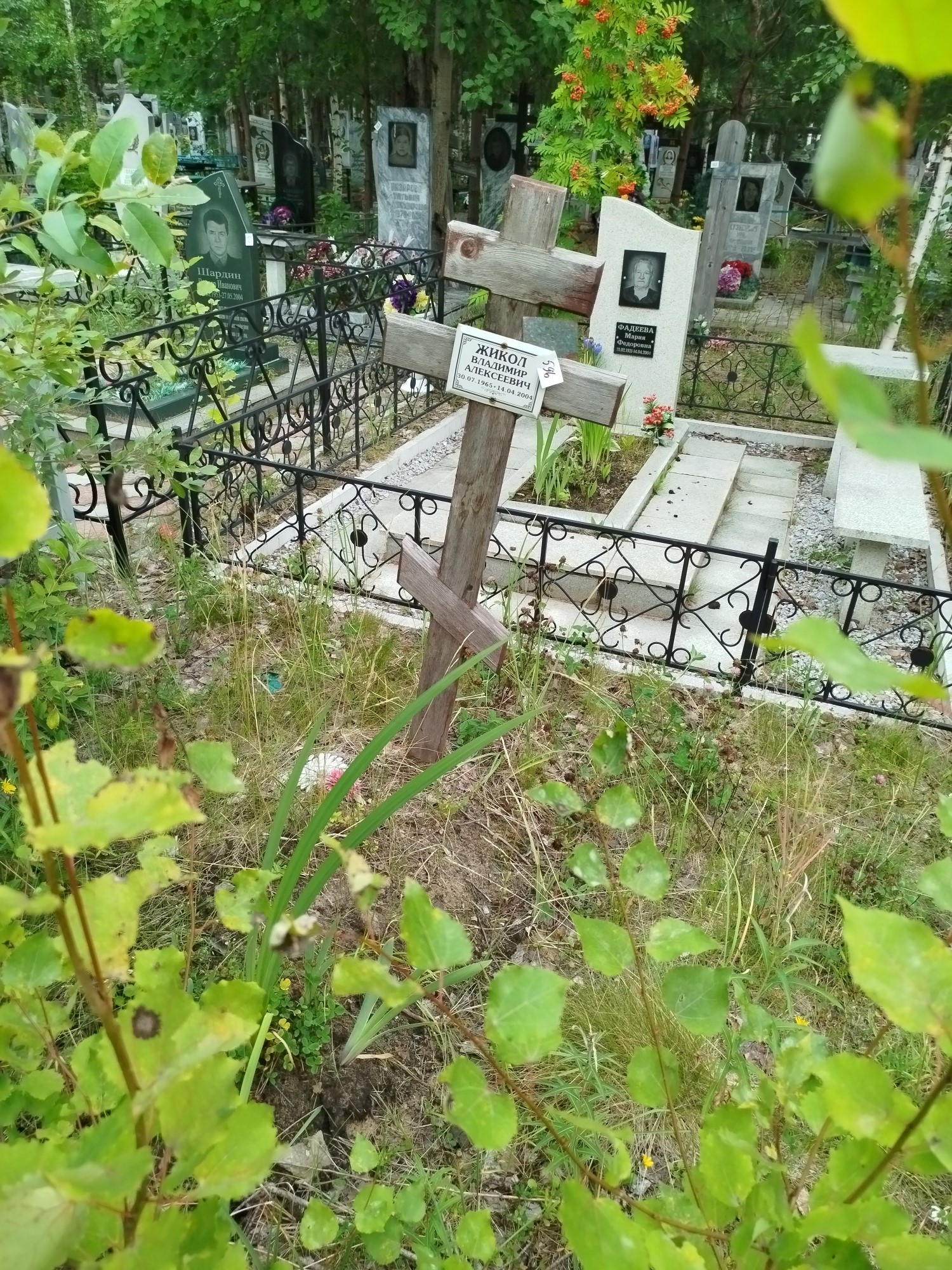 Жикол Владимир Алексеевич