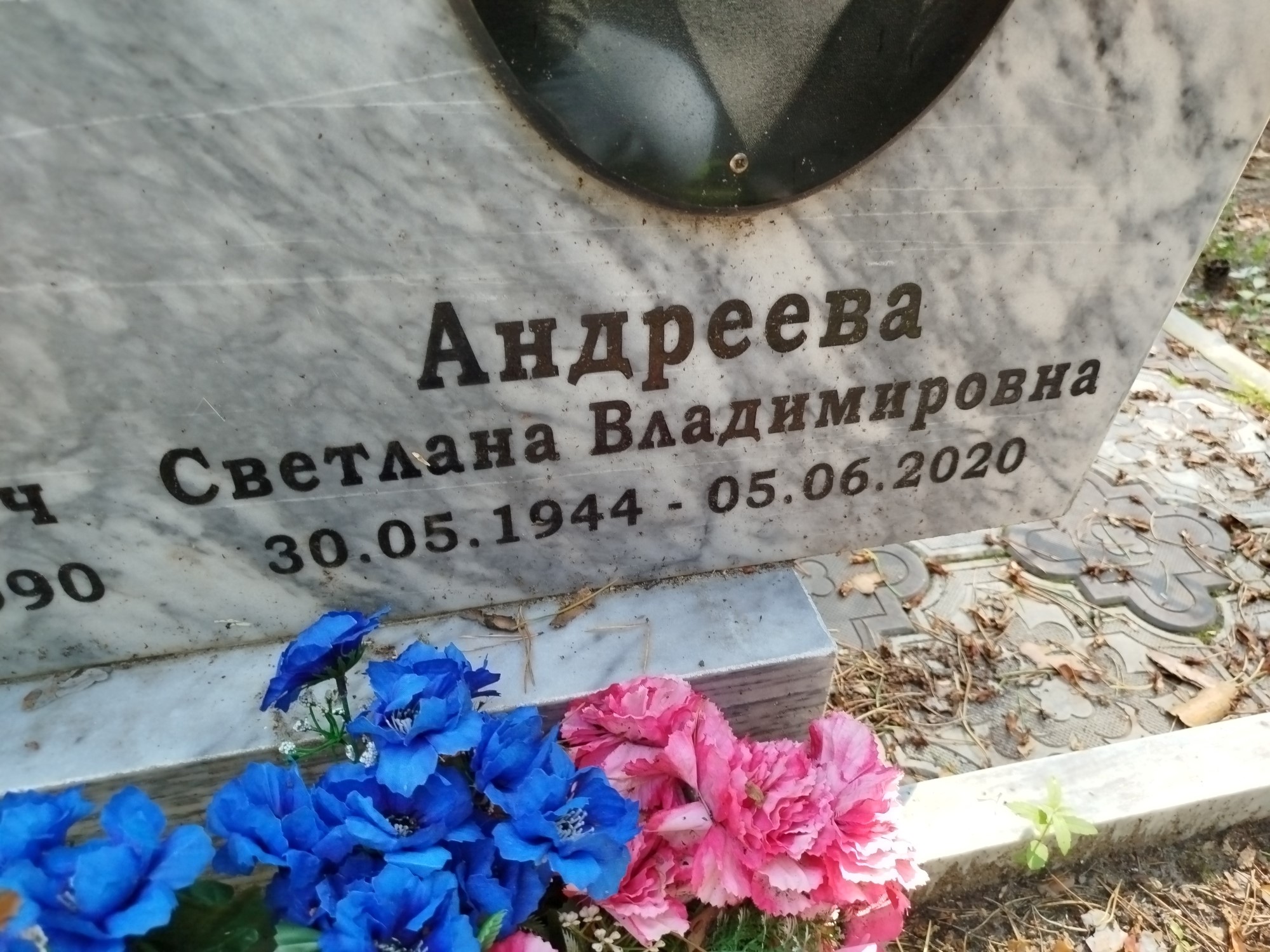 Андреева Светлана Владимировна