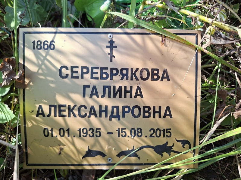 Серебрякова