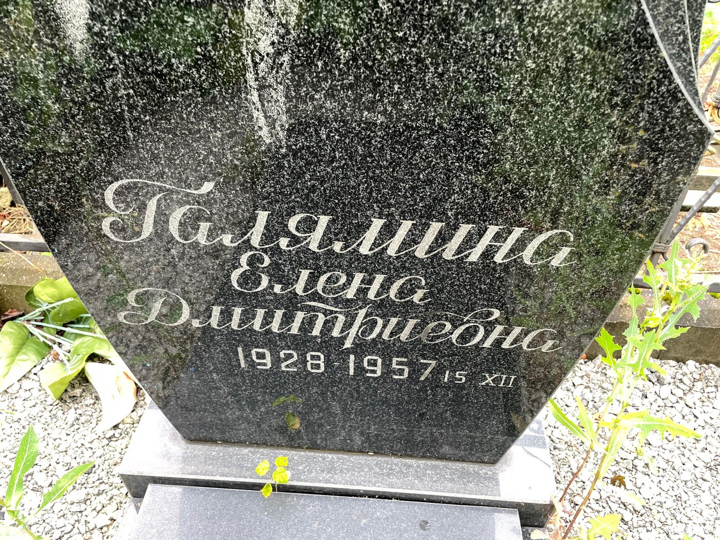 Галямина