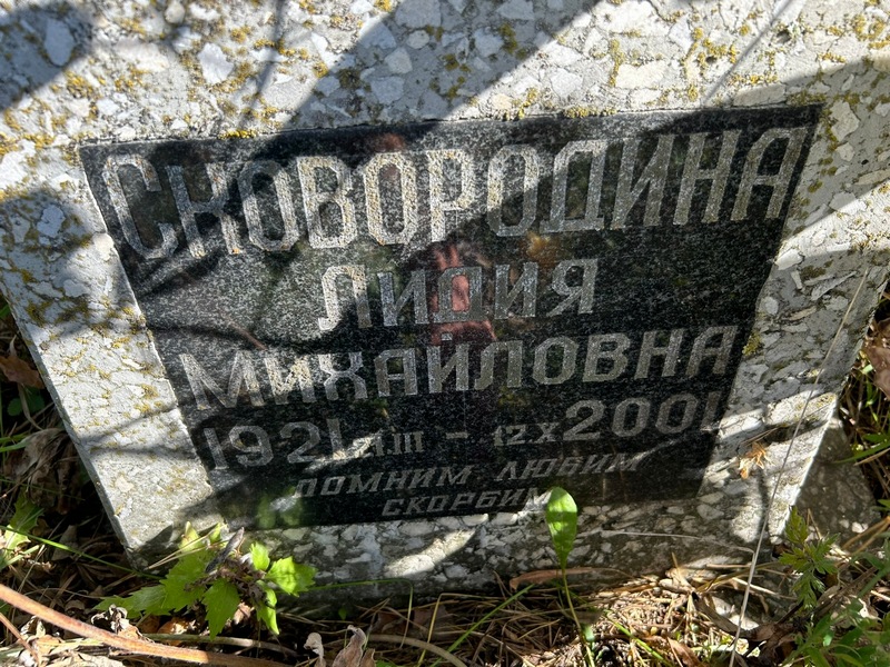 Сковородина