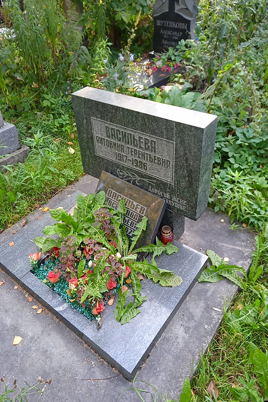 Васильев Всеволо Афанасьевич