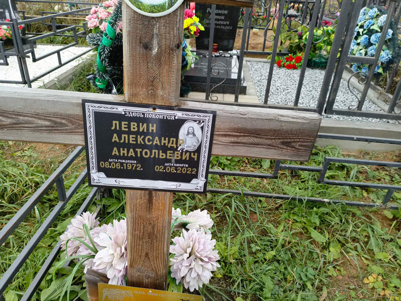 Левин