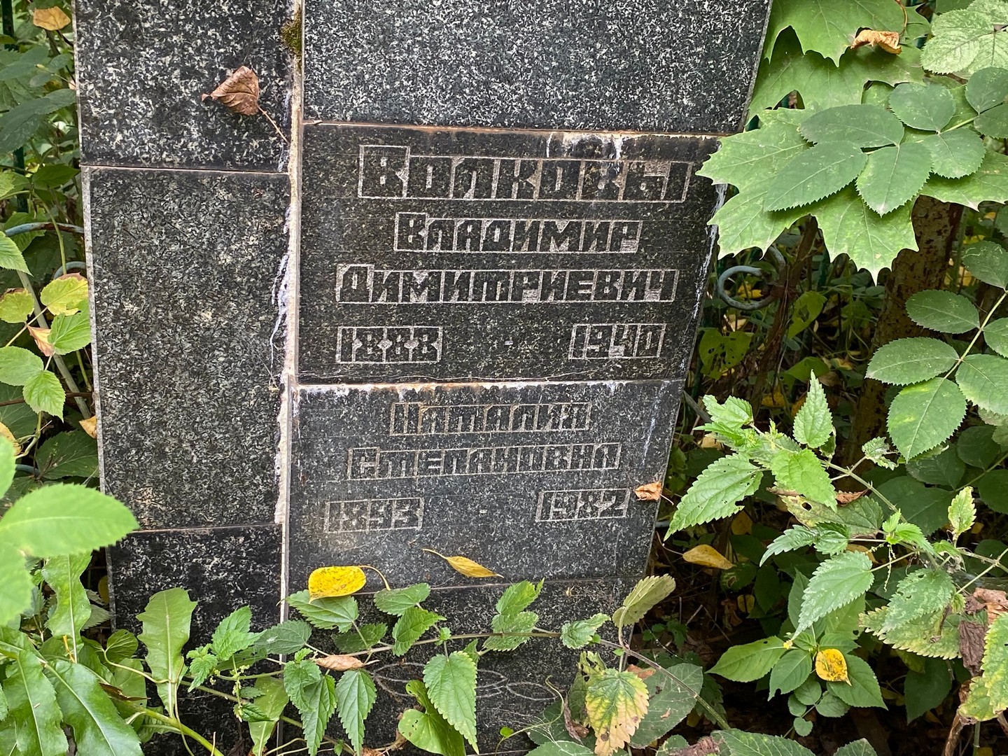 Волков