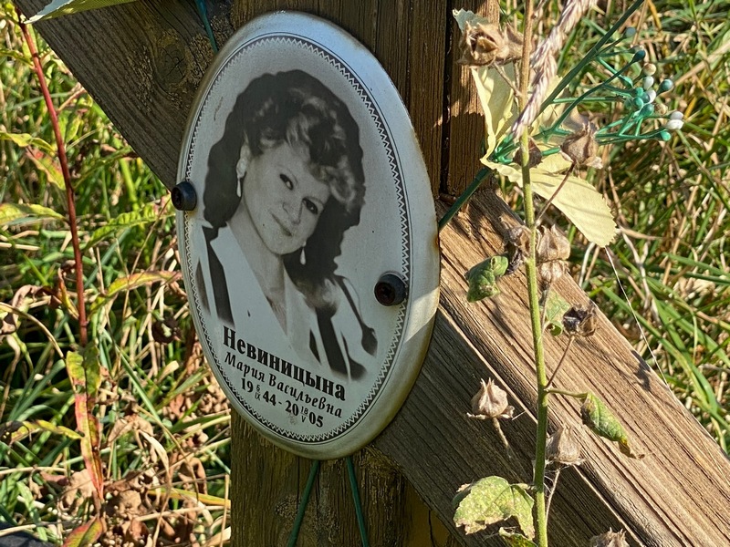 Невиницына