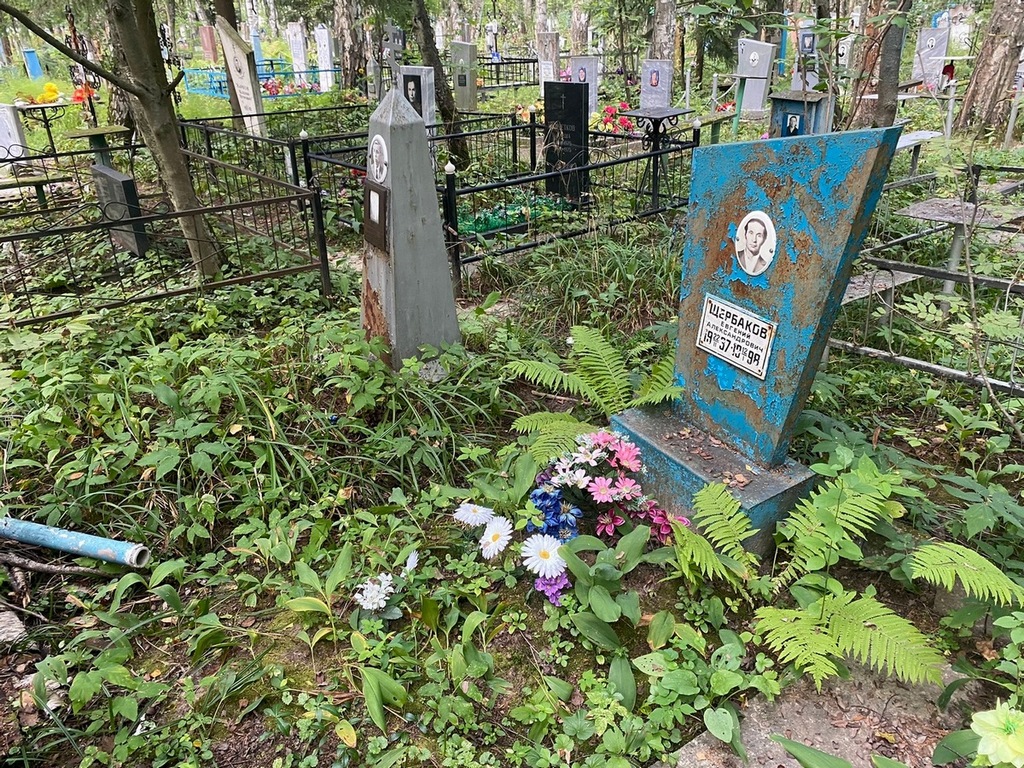 Щербаков Евгений Александрович