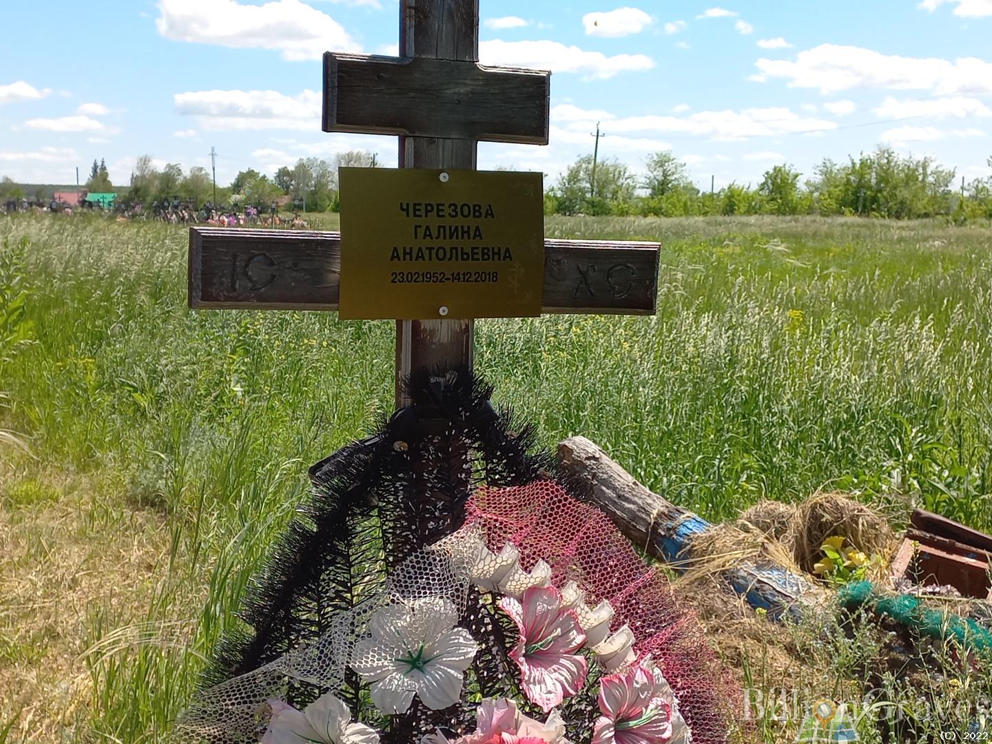 Черезова Галина Анатольевна