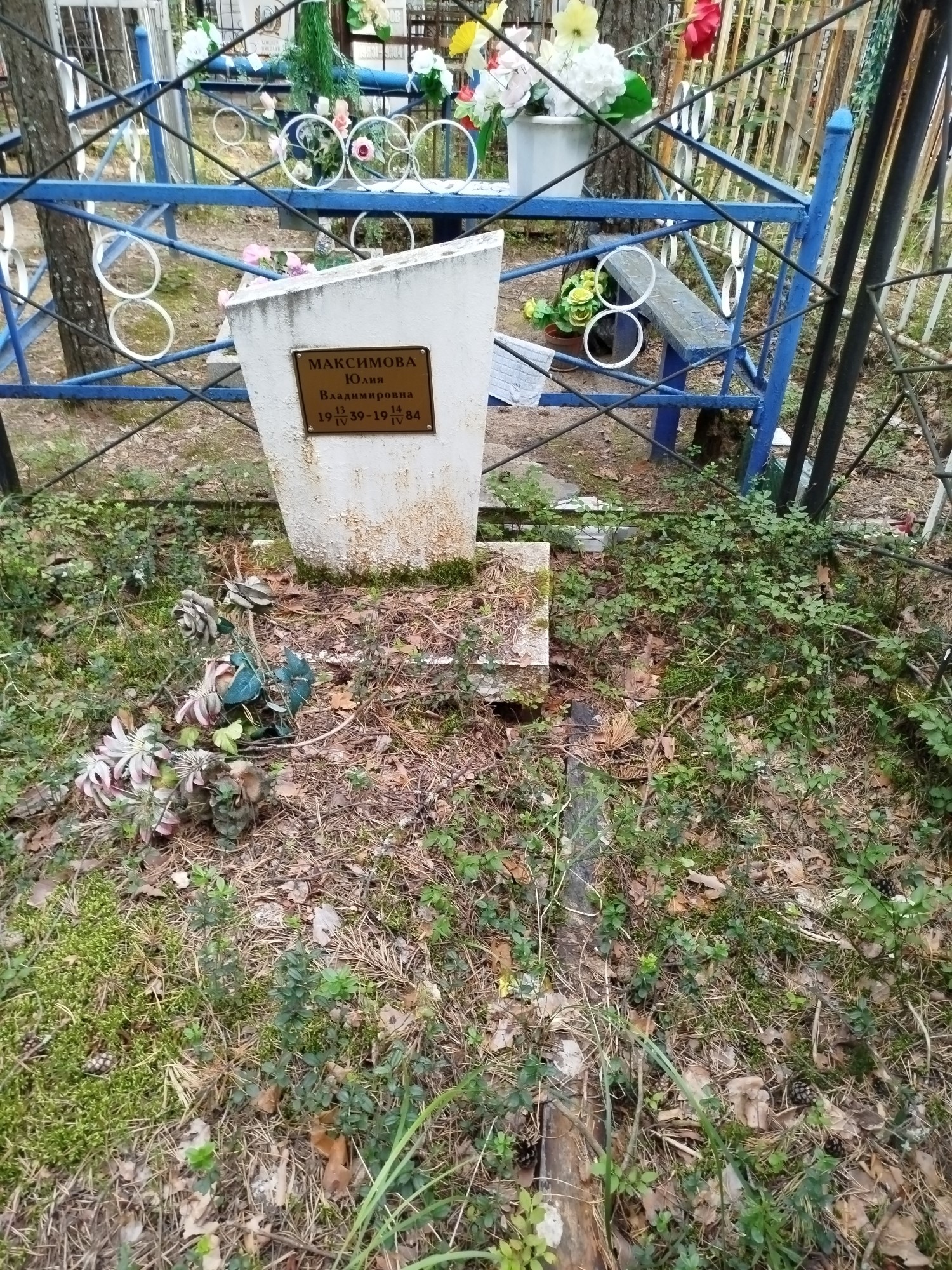 Максимова Юлия Владимировна
