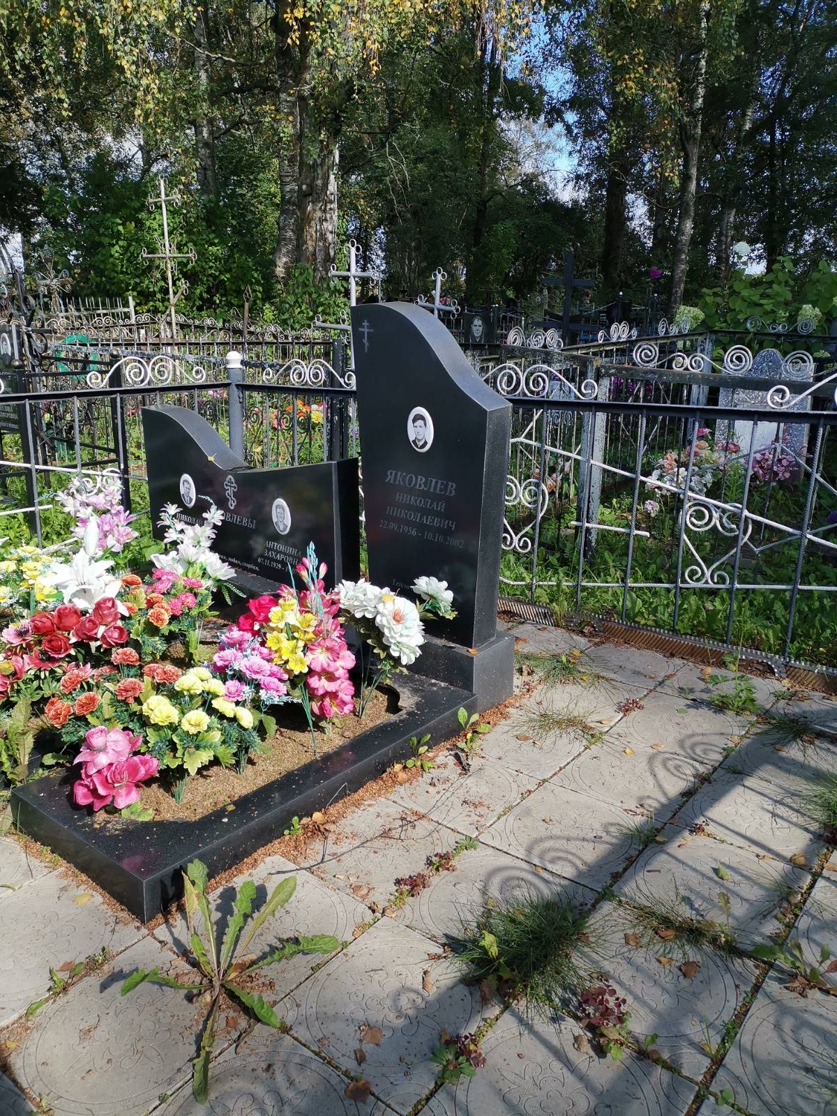 Яковлев Николай Николаевич
