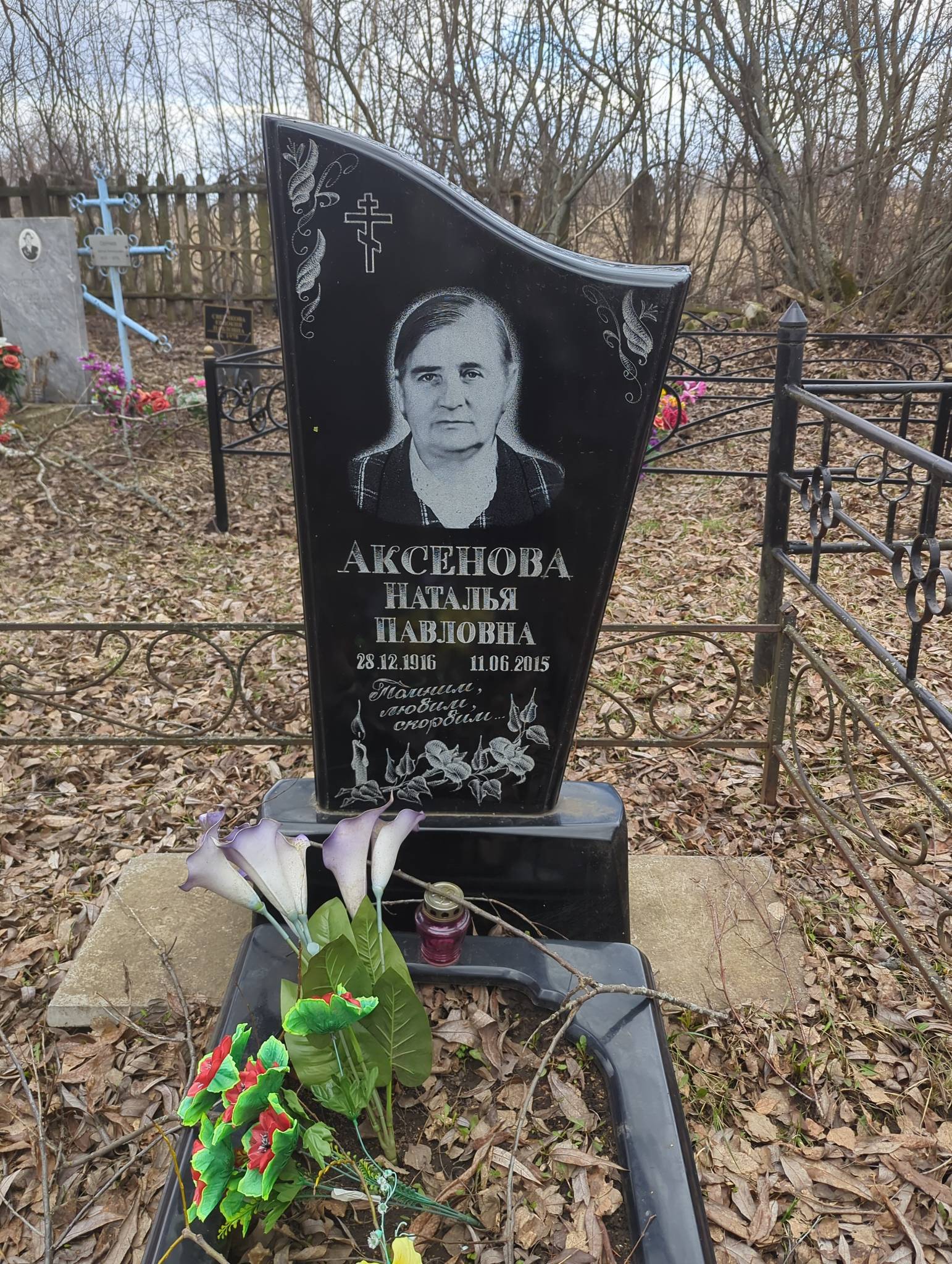 Аксенова Наталья Павловна