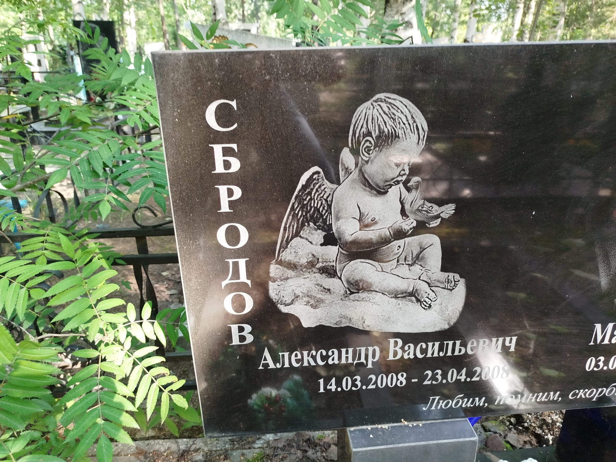 Сбродов Александр Васильевич