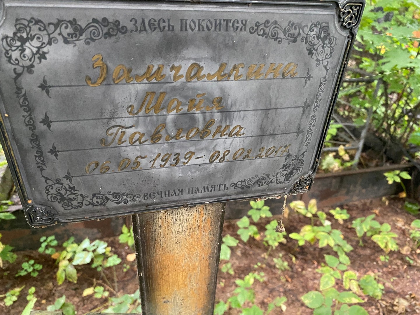 Майя Замчалкина Павловна