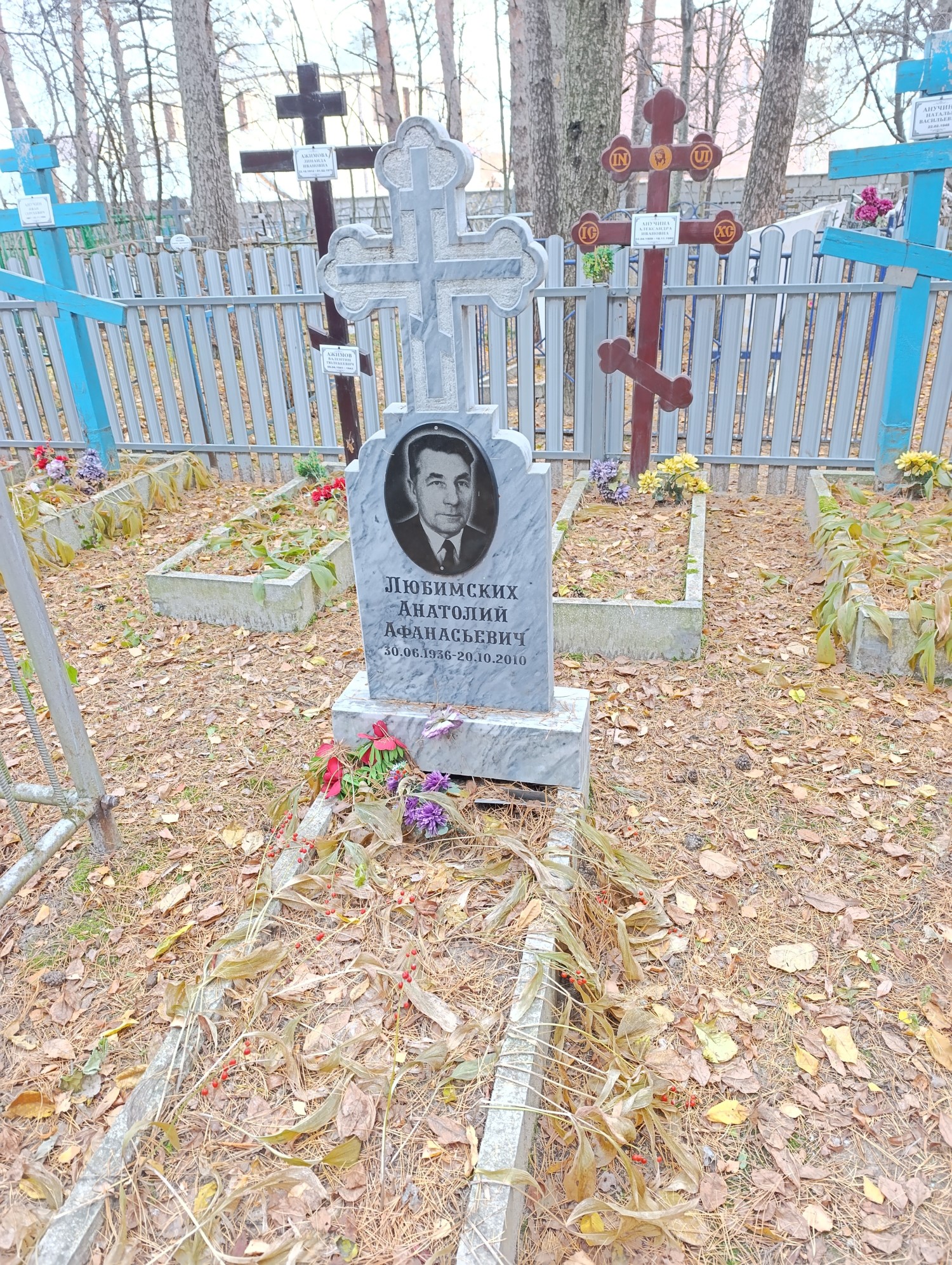 Любимских Анатоилй Афанасьевич