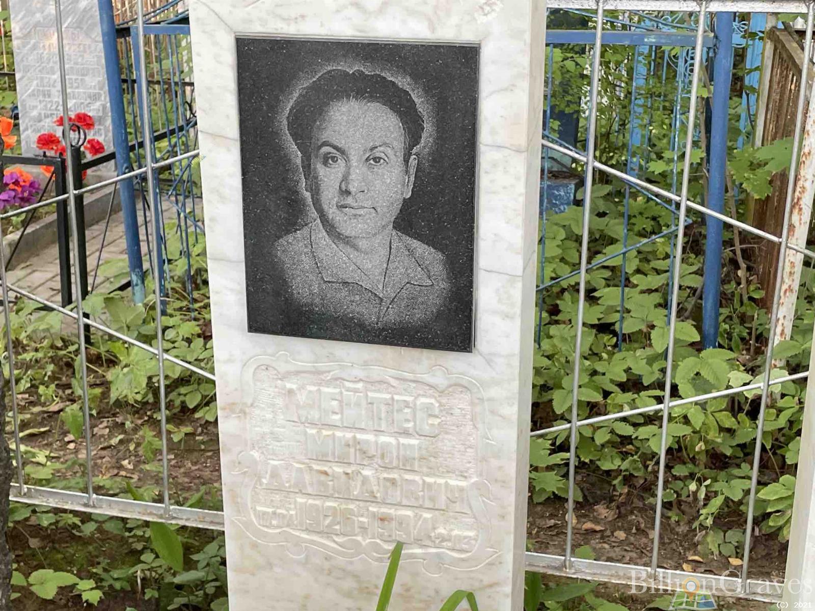 Мейтес Мирон Давидович