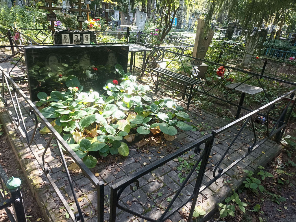 Елизарова Анастасия Исаевна