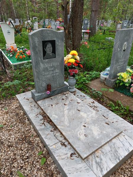 Чебыкина Зоя Дмитриевна