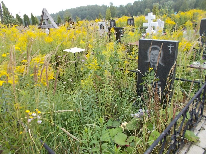 Лунин Александр Викторович