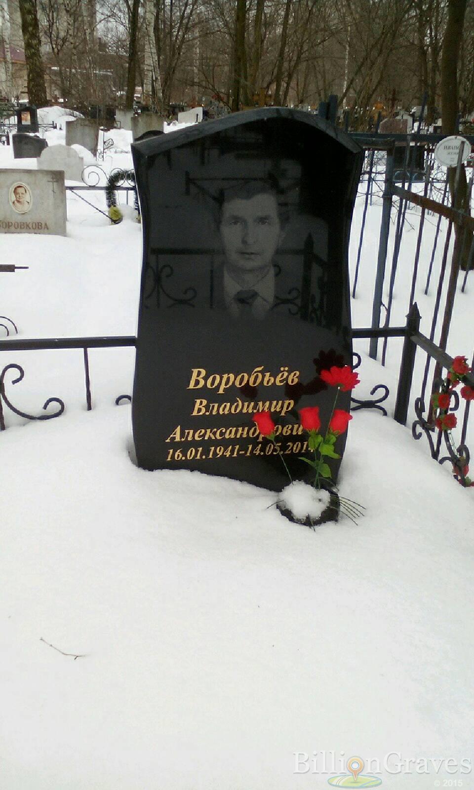 Воробьев Владимир Александрович