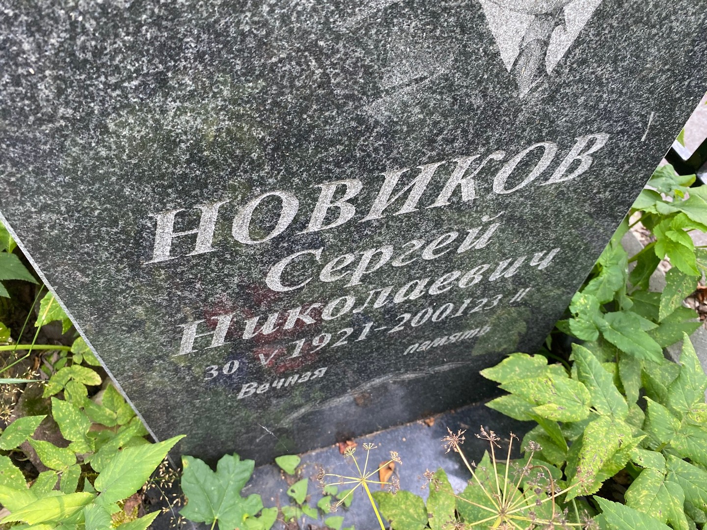 Новиков