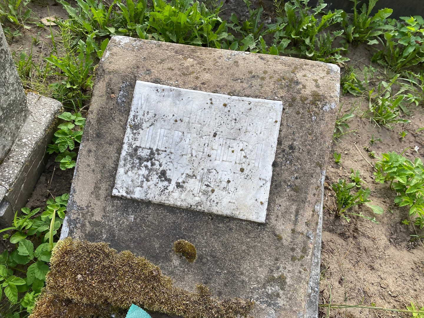 Деркачева