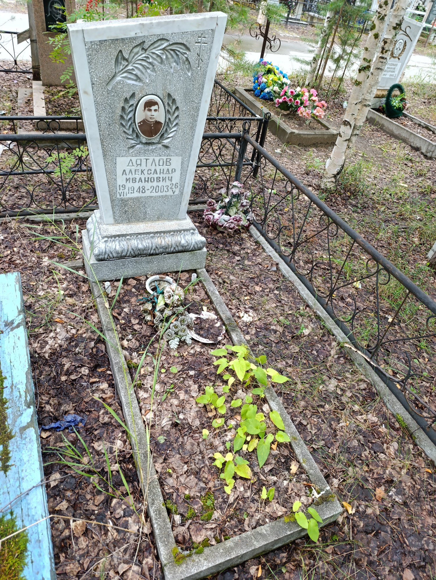 Дятлов Александр Иванович