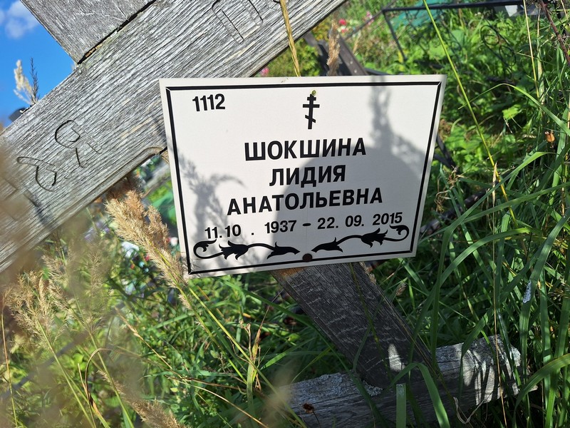 Шокшина