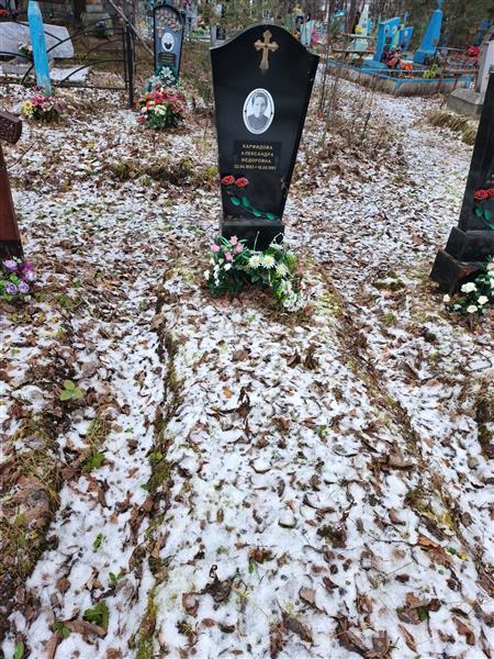 Карфидова Александра Федоровна