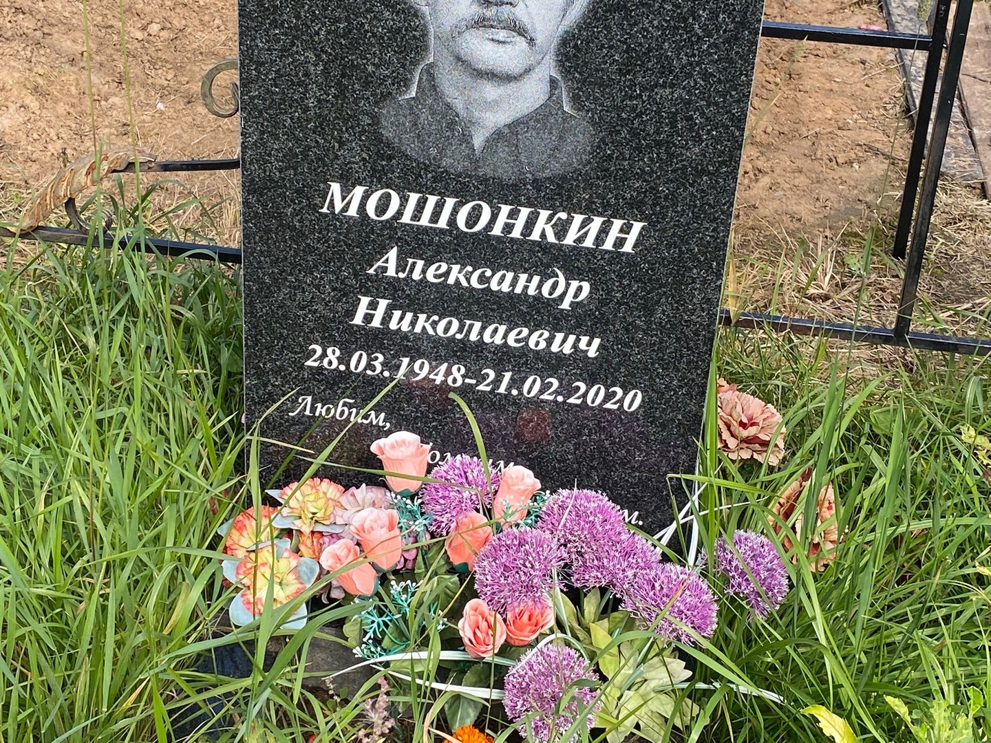 Мошонкин