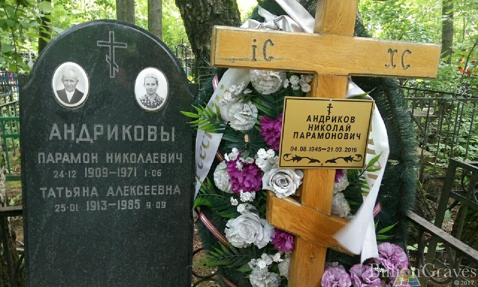 Андрикова Татьяна Алексеевна