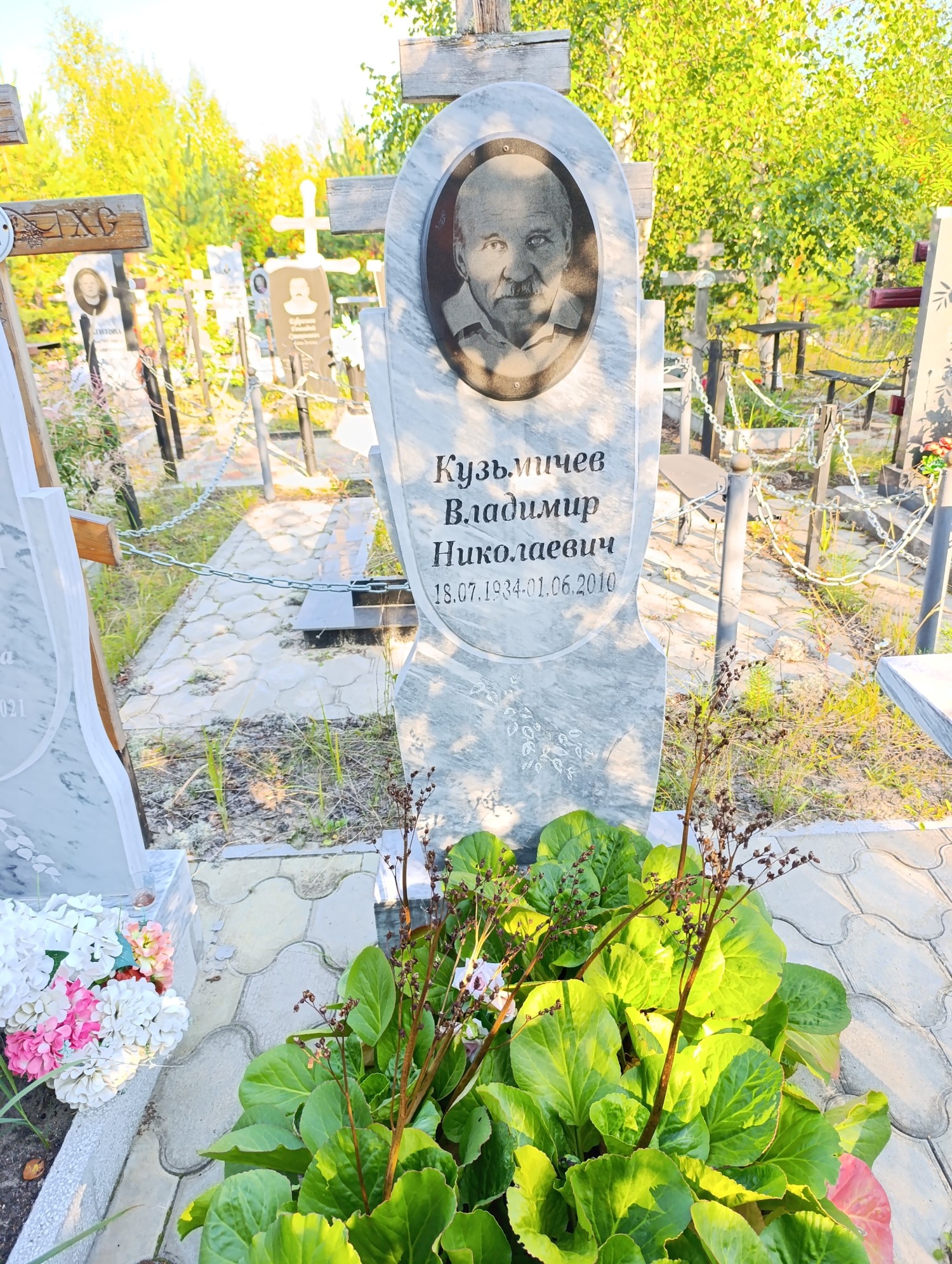 Кузьмичев Владимир Николаевич