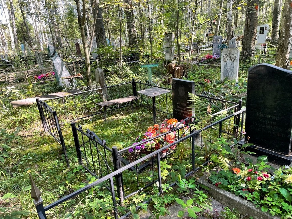 Левин Николай Дмитриевич