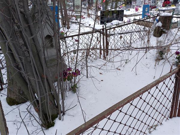 Закожурникова Александра Андреевна