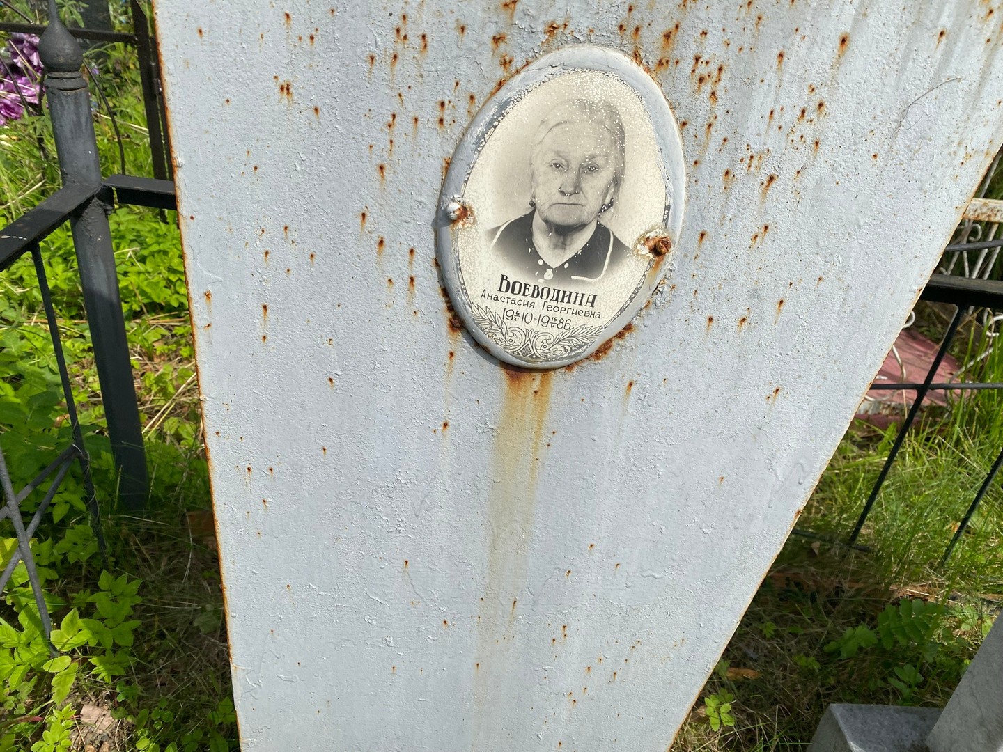 Воеводина Анастасия Георгиевна