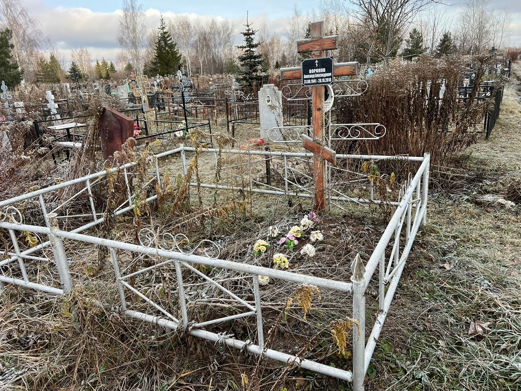 Воронов Александр Александрович